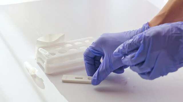 doctor in blue gloves holding test kit, negative 