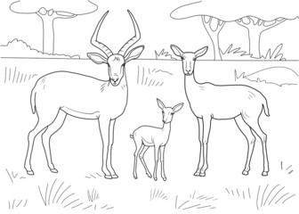 Family of antelopes. Male, female, cub. Coloring book with background