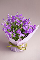 bouquet of lilac