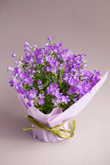 bouquet of lilac