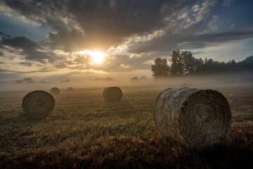 Paysage campagne 1130