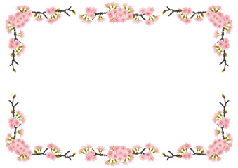 Obraz na płótnie Canvas 桜の花と蕾のついた枝フレーム