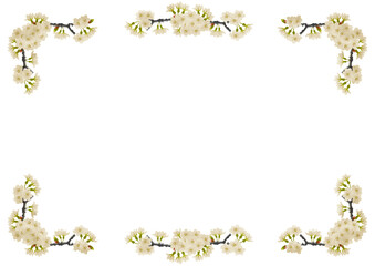 Obraz premium 桜の花と蕾のついた枝フレーム