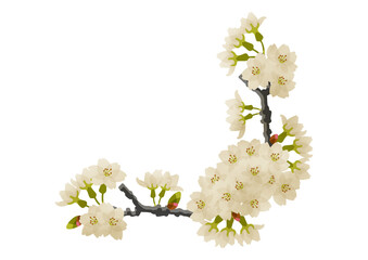 桜の花と蕾のついた枝フレーム