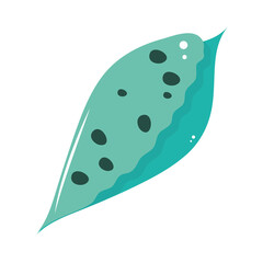 shell case of crustacean