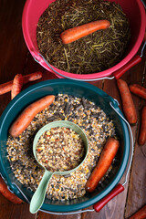 professional  muesli and granules for  horses  served in  buckets with carrots. close up . feeding...