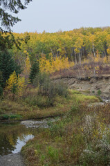 Autumn Scenery at Whitemud Park, Edmonton AB