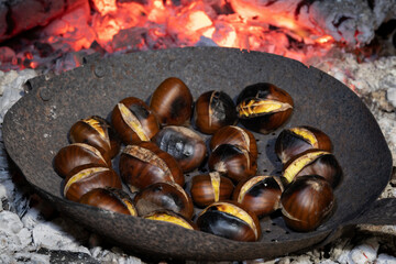 Caldarroste