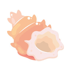 shell flat icon