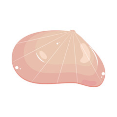 seashell icon flat