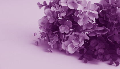 Obraz premium trendy background with leaves in velvet violet color.