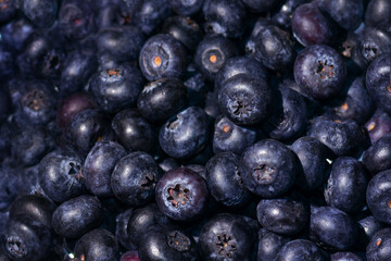 blueberry berries lie in a continuous layer close up. berry background