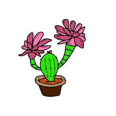 Children's vector botanical design of cactus, social networks, postcards