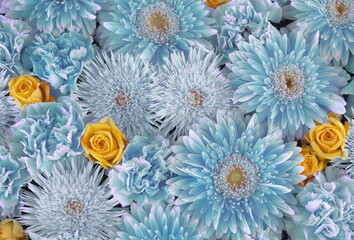 Composition of blue and yellow flowers