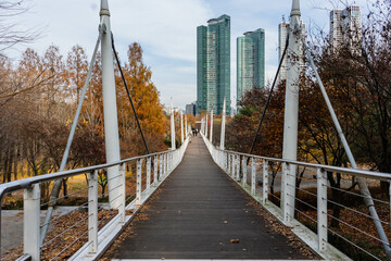 Fototapeta premium bridge over the river