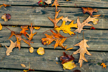 wooden planks with autumn leaves scattered
