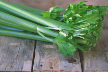 Celery. Fresh stalks and leaves of celery.