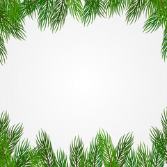 Coniferous branches vector background