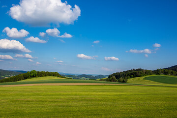 landscape with grass and sky