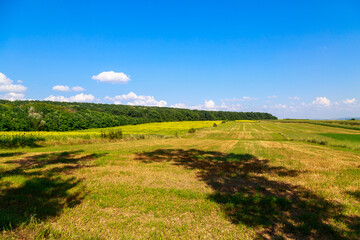 The hilly nature of Eastern Europe with fertile soils for agriculture. Landscape or background