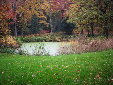 Teich im Koops Park