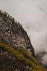 Rocks, forests and meadows covered with fog in an alpine mountain world in Switzerland