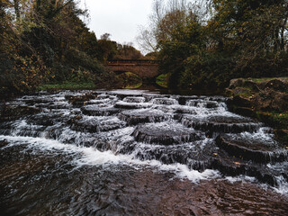 Obraz premium Weir in the wood