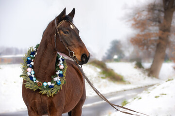 Pferd mit Weihnachtskranz im Schnee