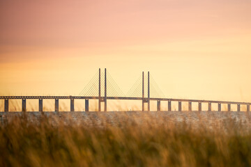 Warm summer sunset image of the Öresund bridge between Sweden and Denmark as seen from Limhamn, just outside Malmö behind high grass.