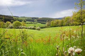 Landschaft im Sommer mit aufziehendem Gewitter