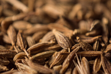 Macro of some little cumin seeds in a grain storage 