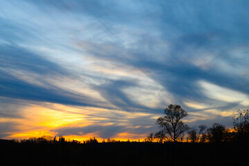 A think line of the golden color of sunset highlights the horizon.  Partially cloudy sky in sweeping shapes above a dominant tree
