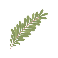 branch leaves nature