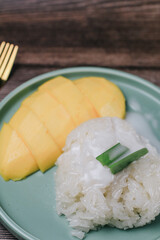 Delicious mango sticky rice serve with coconut milk on wooden table. Popular traditional dessert of Thailand.