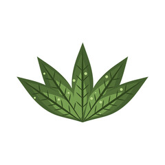 leaves nature vegetation