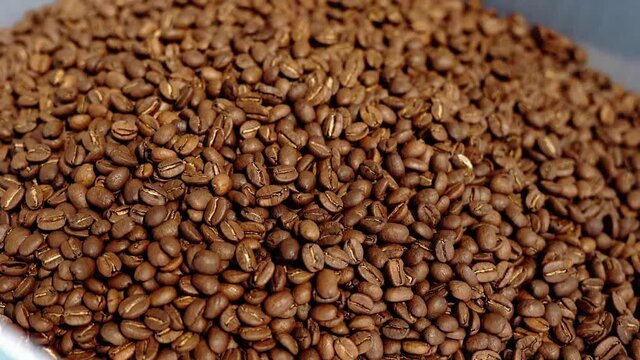 Roasted Coffee Beans Group Falling Down. Concept of making delicious aromatic drink