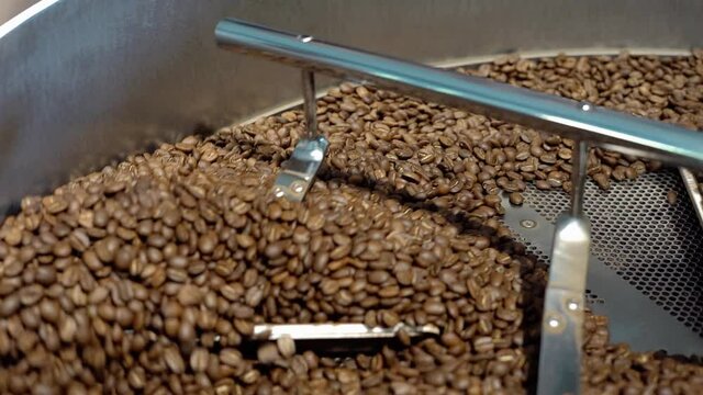 Mixing roasted coffee. close-up freshly roasted coffee beans from a large coffee roaster in mixing cooling machine industrial cafe