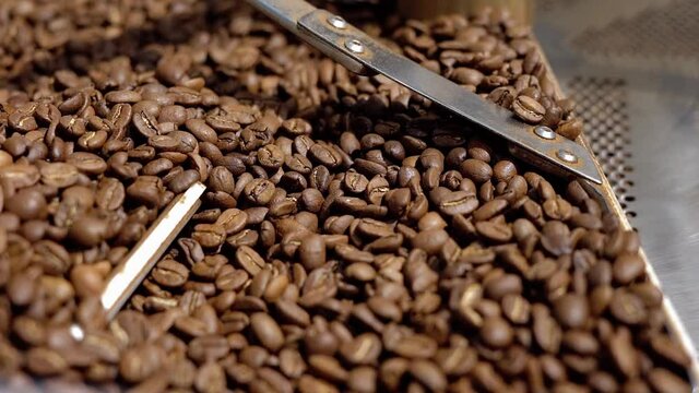 freshly roasted coffee beans. industrial coffee machine