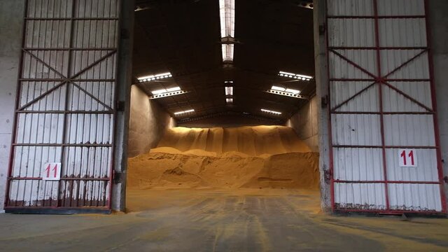 warehouse, farm, granary, Stacked corn lies in a floor storage warehouse under the roof of a closed warehouse