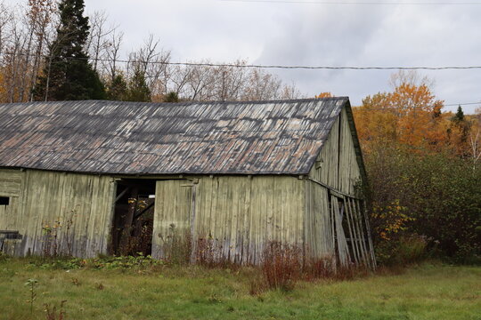 Old barn in a autumn scenery. Autumnal and country. Architecture and ancient. Abandoned barn in a rural country.