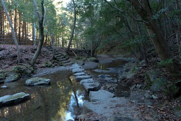 by the brook