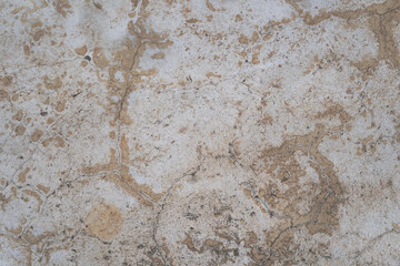 Texture of old gray concrete wall. vintage white background of natural cement or stone old texture material