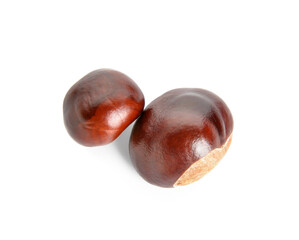 Autumn chestnuts on white background