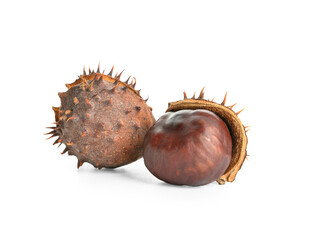 Chestnuts isolated on white background