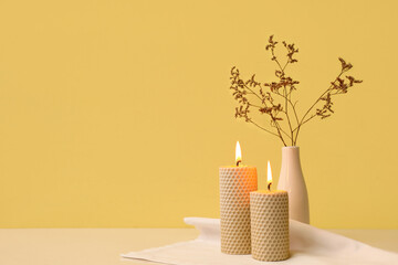 Burning candles and vase with dry flowers on table near color wall