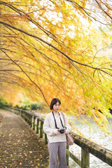 Fototapeta premium 紅葉の公園でカメラを持って写真を撮る女性