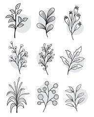 Green leaf leaves design element set colorless Outline Style illustration