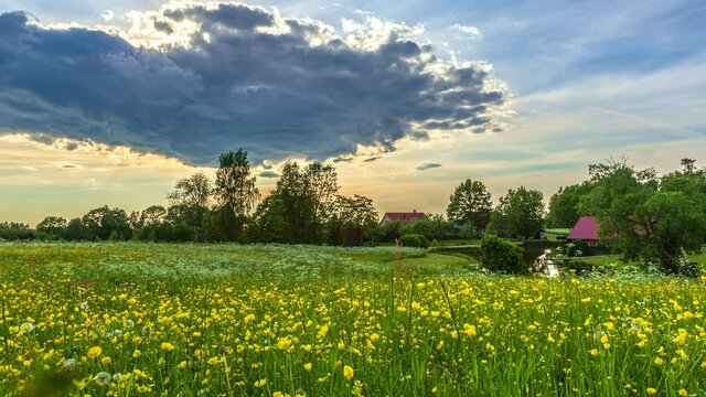 Motion timelapse. Flowering rapeseed field under fast moving clouds and dramatic sky timelapse footage in 4k. Mustard flowers mystical flower of happiness and health video. Shot in 5k