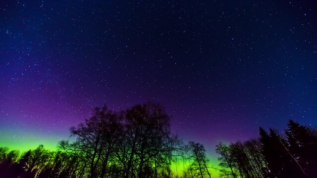 Motion time-lapse of Aurora Borealis, Northern Lights or polar light in beautiful night sky over the forest, Realistic aurora time lapse animation background.
