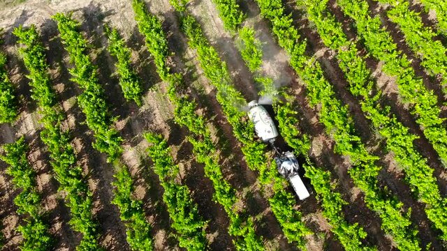 Aerial: litte tractor among grapevine and vineyards
